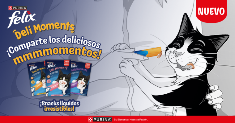 header campaign